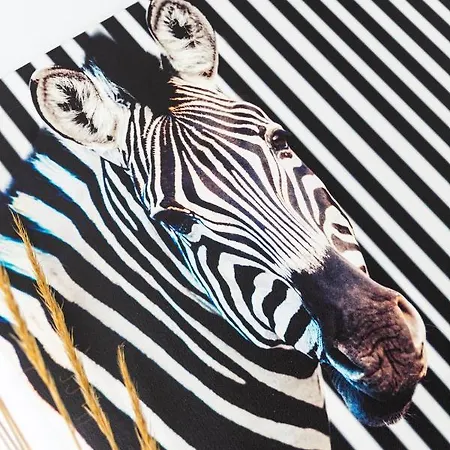 Americas מלון מאלגה