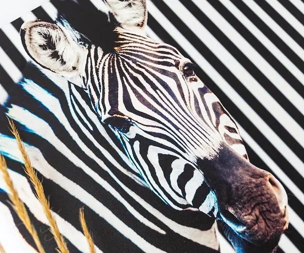 아메리카스 호텔 말라가